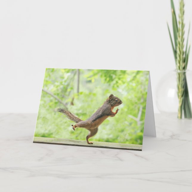 Cute Squirrel Doing Tai Chi Kort (Framsida)