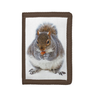 Cute Squirrel Eating a Nöt Tri-fold Wallet