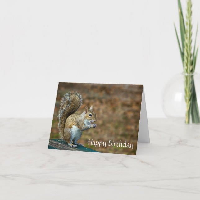 Cute Squirrel Grattis på födelsedagen Card Kort (Framsida)