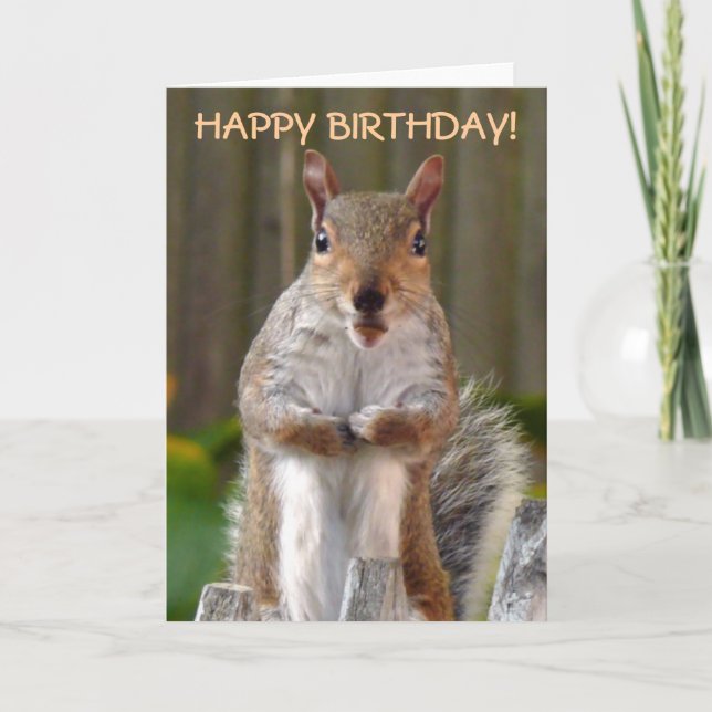 Cute Squirrel Grattis på födelsedagen Kort (Framsida)