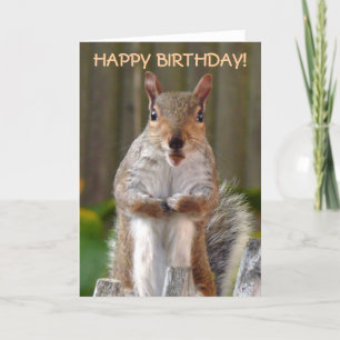 Cute Squirrel Grattis på födelsedagen Kort