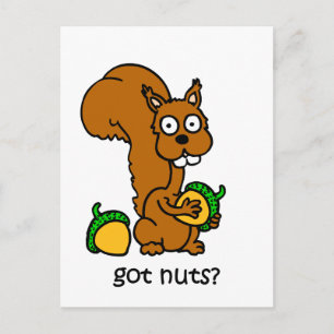 Cute Squirrel har nöt Vykort
