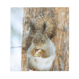 Cute Squirrel i ett vinter liggande Anteckningsblock