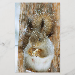 Cute Squirrel i ett vinter liggande Brevpapper