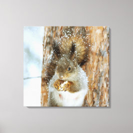 Cute Squirrel i ett vinter liggande Canvastryck