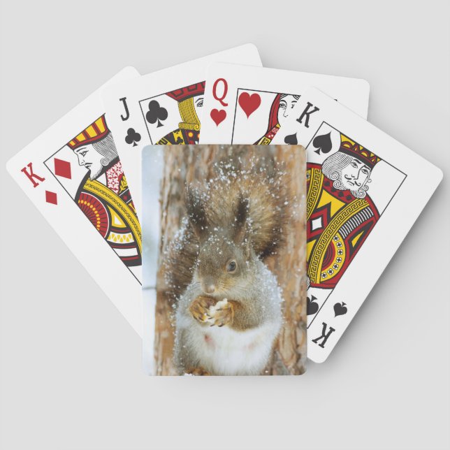 Cute Squirrel i ett vinter liggande Casinokort (Baksidan)