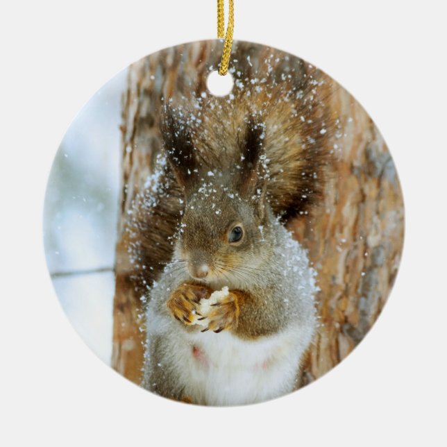 Cute Squirrel i ett vinter liggande Julgransprydnad Keramik (Framsidan)
