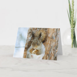 Cute Squirrel i ett vinter liggande Kort