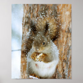 Cute Squirrel i ett vinter liggande Poster