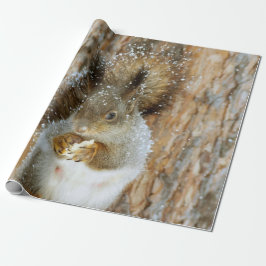 Cute Squirrel i ett vinter liggande Presentpapper