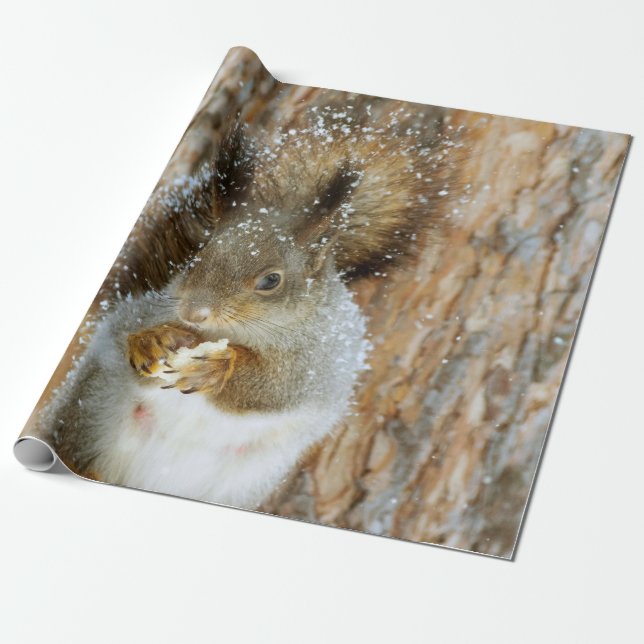 Cute Squirrel i ett vinter liggande Presentpapper (Utrullad)