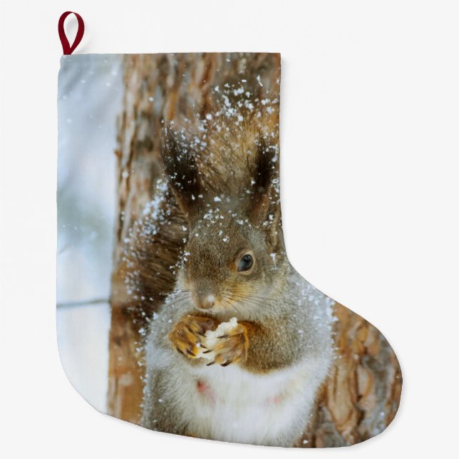 Cute Squirrel i ett vinter liggande Stor Julstrumpa (Framsidan)