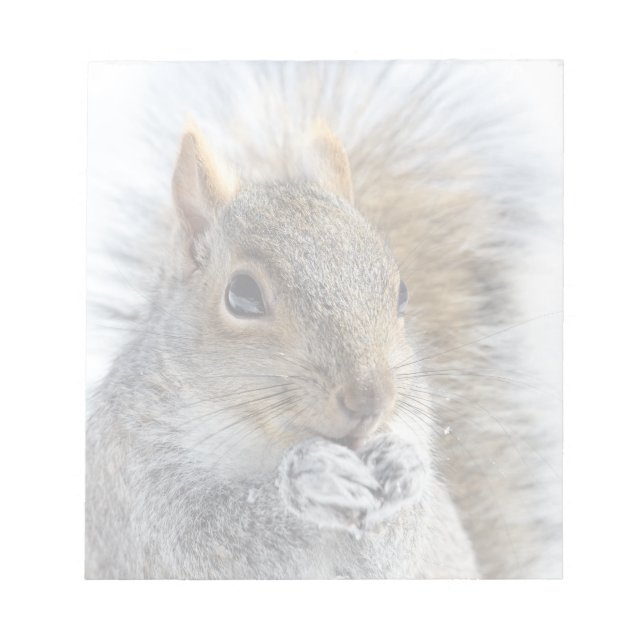 Cute Squirrel i Winter Anteckningsblock (Framsida)