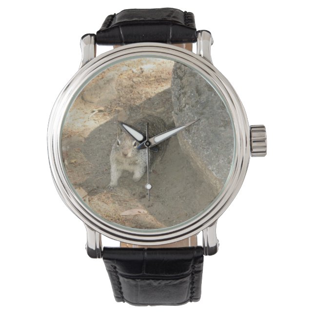 Cute Squirrel i Yosemite, Kalifornien Armbandsur (Framsida)