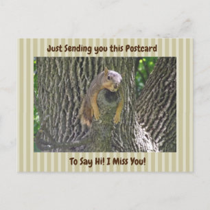 Cute Squirrel "Jag saknar dig" säger hej Vykort