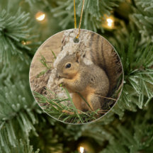Cute Squirrel Julgran Ornament
