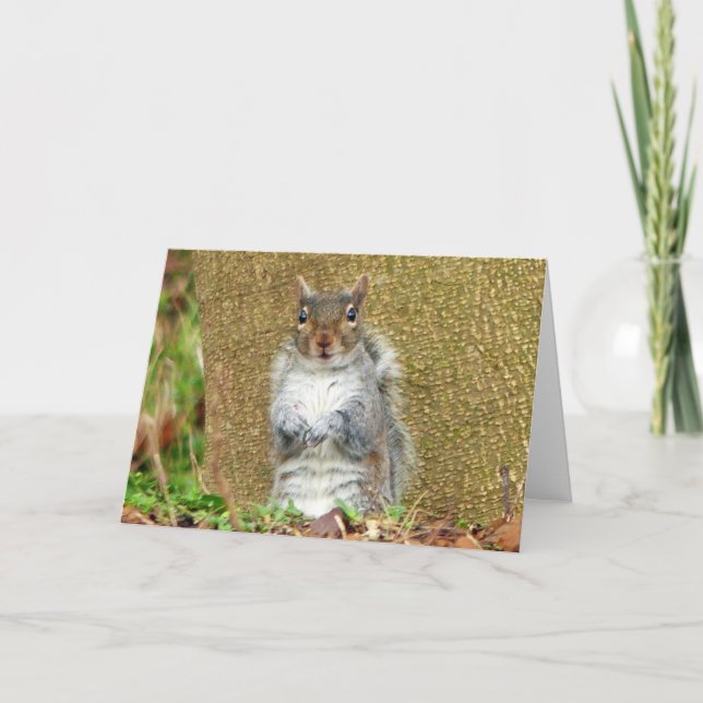 Cute Squirrel Kort (Framsida)
