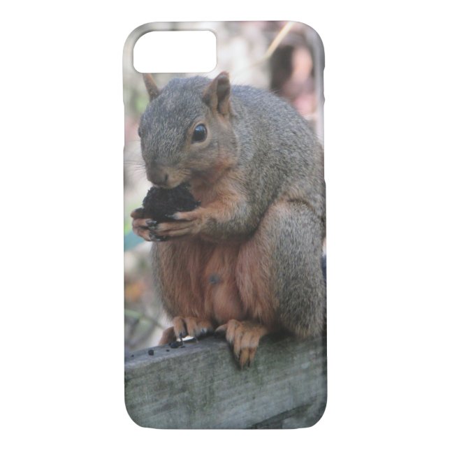Cute Squirrel med Nöt Phone Case Case-Mate iPhone Skal (Baksida)