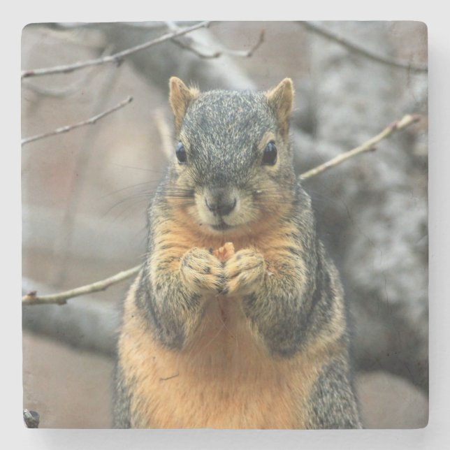 Cute Squirrel med Snack Stenunderlägg (Framsidan)