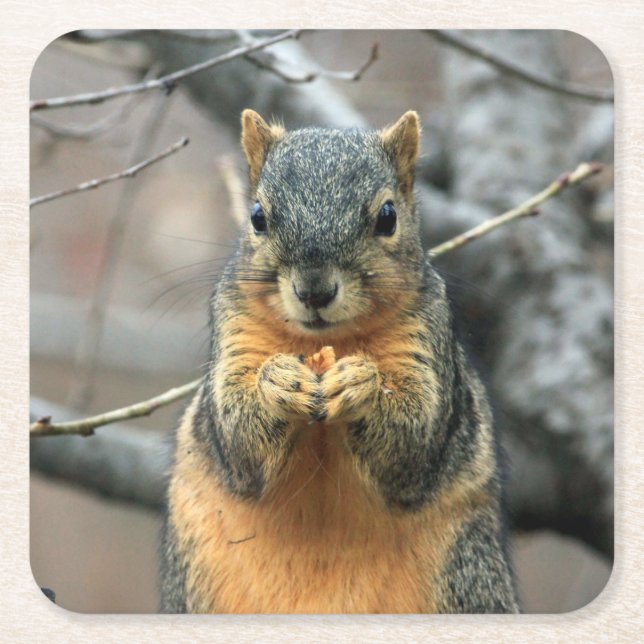 Cute Squirrel med Snack Underlägg Papper Kvadrat (Framsidan)