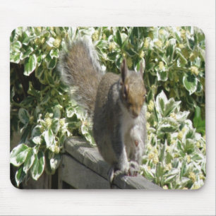 Cute Squirrel Mousepad Musmatta