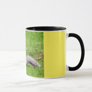 Cute Squirrel Mugg
