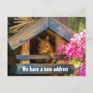 Cute Squirrel New Home Adress Flyttat precis Meddelande Vykort