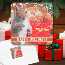 Cute Squirrel, Nöt
