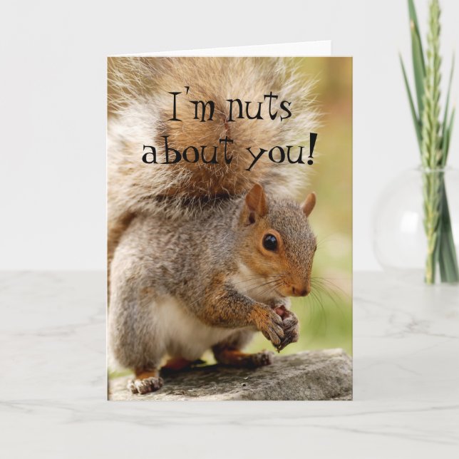 Cute Squirrel "Nöt Om dig"-kort Kort (Framsida)