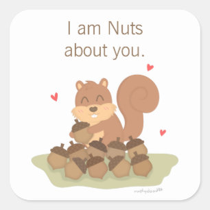 Cute Squirrel Nöt om dig Pun Kärlek Humor Fyrkantigt Klistermärke