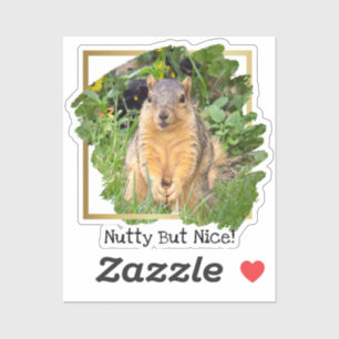 Cute Squirrel Nutty Men Nice Klistermärken