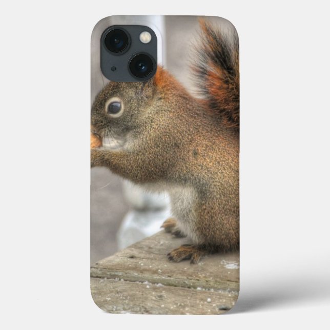 Cute Squirrel och Peanut Wildlife Photo (Baksida)