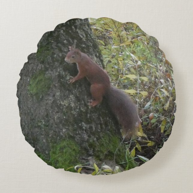 Cute Squirrel on Tree Trunk Round Pillow Rund Kudde (Framsidan)
