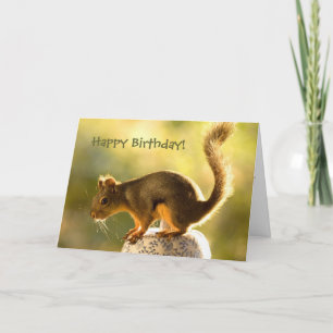 Cute Squirrel på en Cookie Burk Kort