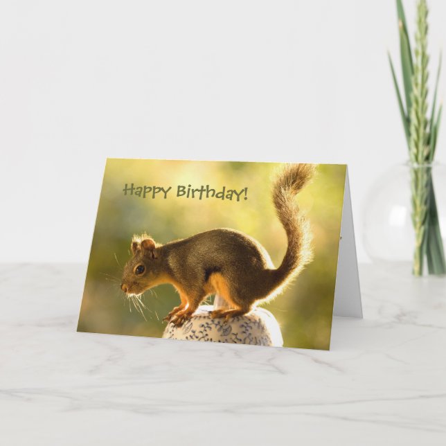 Cute Squirrel på en Cookie Burk Kort (Framsida)
