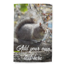 Cute Squirrel på Gren