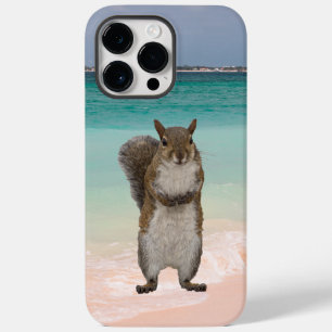 Cute Squirrel på stranden i Västindien