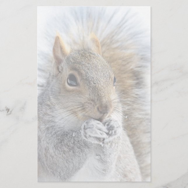 Cute Squirrel på vintern Brevpapper (Framsida)