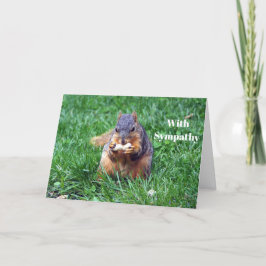 Cute Squirrel Peanut Photo Sympathy Kort