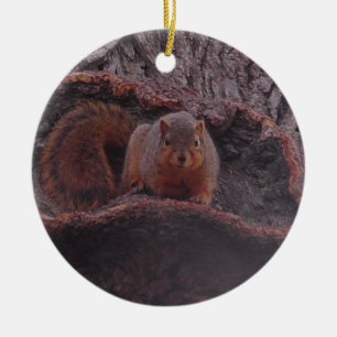 Cute Squirrel Photo Personlig Julgransprydnad Keramik