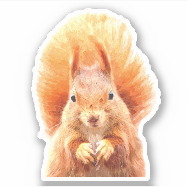 Cute Squirrel Porträtt Klistermärken (Framsida)