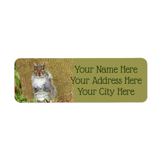 Cute Squirrel Returadress Etikett (Framsidan)