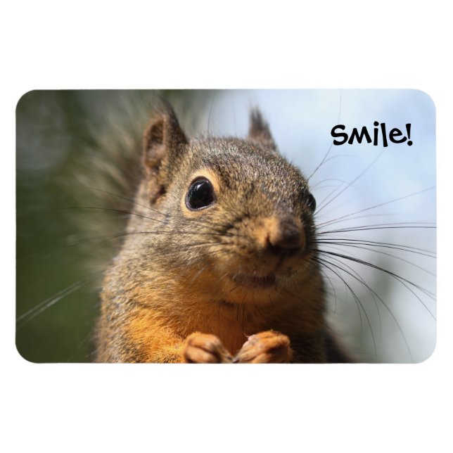 Cute Squirrel Smiling Closeup Photo Magnet (Horisontell)