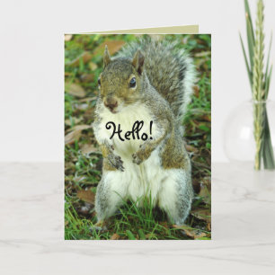 Cute Squirrel, tänker på dig Kort