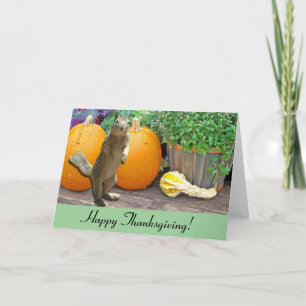 Cute Squirrel-Thanksgiving Helgkort
