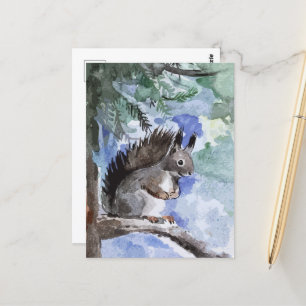 Cute squirrel vykort