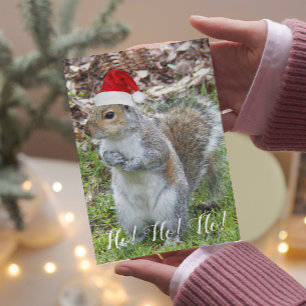 Cute Squirrel Wearing Santa Cap Helgdag Helgkort