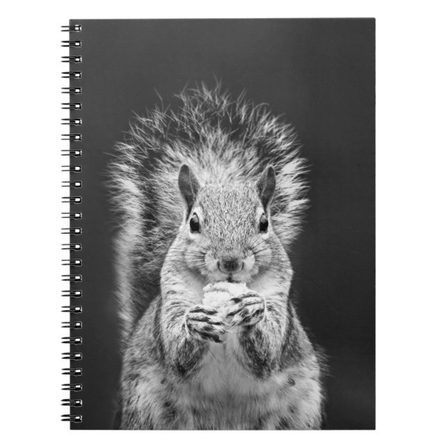 Cute Squirrel Wildlife Black and White Photograph Anteckningsbok (Framsidan)