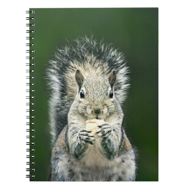 Cute Squirrel Wildlife Photography Anteckningsbok (Framsidan)