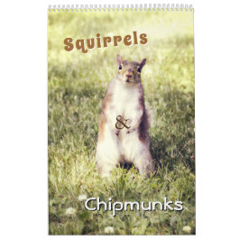 Cute Squirrels and Chipmunks Funny Animal Photos Kalender